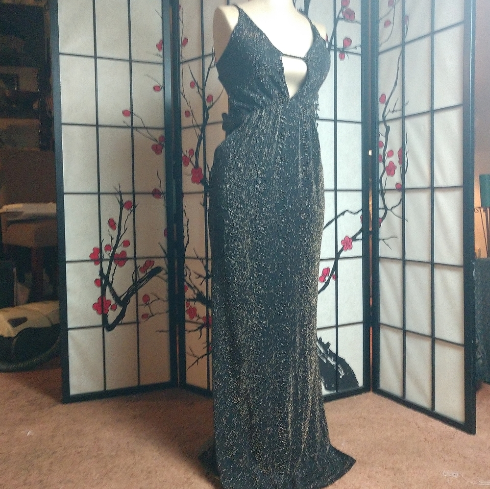 FashionNova Lady glitter plunge neck maxi coverup 👗 Small